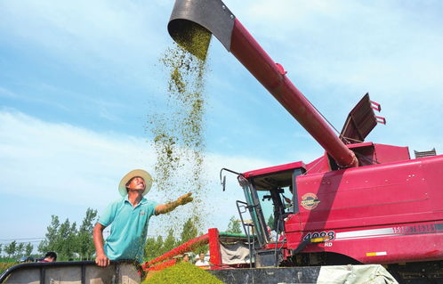 構筑生態宜居家園，推動谷物銷售新篇章